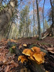 Wanderung Reit im Winkl - Deutschland