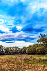 Landscapes - Forest - Europe, Romania, Suceava region