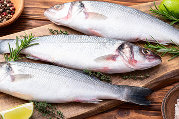 Raw sea bass fish photography . Top view