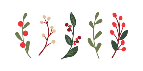 Winter berries , flower and leaves. Vector hand drawn winter elements with leaf, fir, pine branches, berry. Christmas floral collection for invitations, greeting card, textile, fabric, posters.