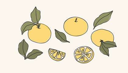 Line art yuzu fruit branches collection