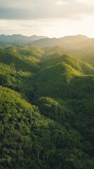 Naklejka premium Aerial view of lush green mountains with forest