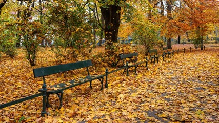 Krakowskie planty jesienią, czyli wielki park w Krakowie
