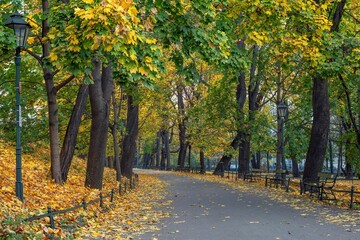 Krakowskie planty jesienią, czyli wielki park w Krakowie