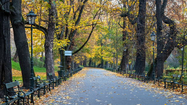 Krakowskie planty jesienią, czyli wielki park w Krakowie