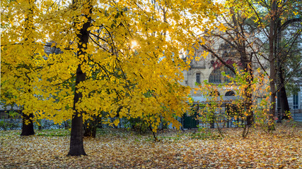 Krakowskie planty jesienią, czyli wielki park w Krakowie
