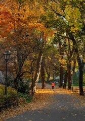 Fototapeta premium Krakowskie planty jesienią, czyli wielki park w Krakowie