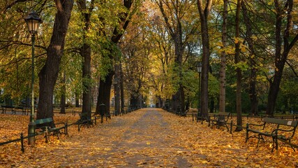 Krakowskie planty jesienią, czyli wielki park w Krakowie