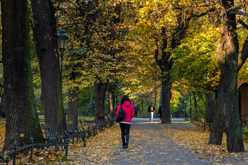 Krakowskie planty jesienią, czyli wielki park w Krakowie © Michal45