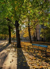 Krakowskie planty jesienią, czyli wielki park w Krakowie © Michal45