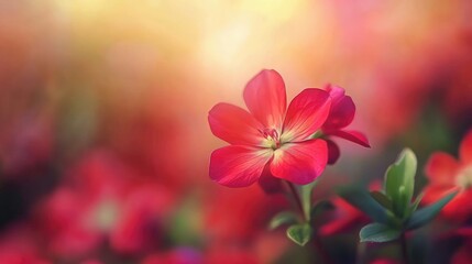 Obraz premium Beautiful Pink Flower in a Colorful Garden Setting