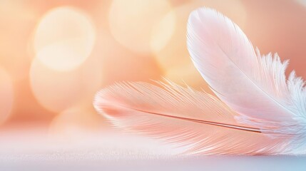 Naklejka premium Soft feathers on a gentle background, perfect for tranquil settings.