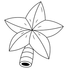 illustration of a star wand.