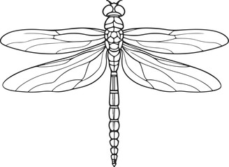 Obraz premium Dragonfly Sketch Line Drawing. Insect Dragonfly in Simple Linear Style. Doodle Vector Illustration