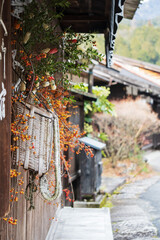 長野県　妻籠宿／背負い籠に飾られたツルウメモドキの赤い実【木曽路・旧中山道】1月の風情