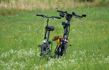 Naklejka premium Bicycles stand in a green field in summer