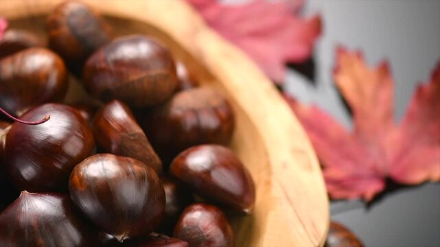 Chestnut, Fresh sweet chestnuts with autumn red leaves on black background, top view. Thanksgiving day. Edible chestnuts (Castanea sativa) rotating in wooden bowl. Top view. Close up. 