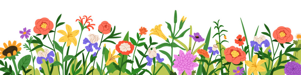 Floral border, meadow flowers and grass. Blooming plants, wildflowers. Field blossoms, horizontal botanical decoration. Natural summer panorama. flat vector illustration isolated on white background