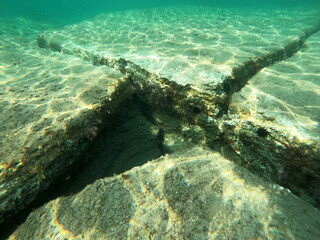 Coral reef in the sea