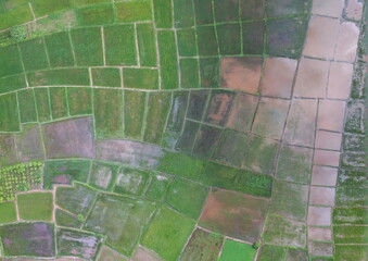 Top View Aerial Photograph of Paddy