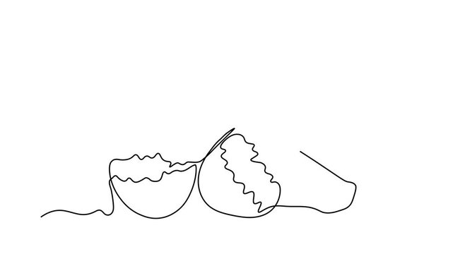 Abstract broken empty egg, egg shell and small newborn chick, Self drawing animation one continuous line draw, logo