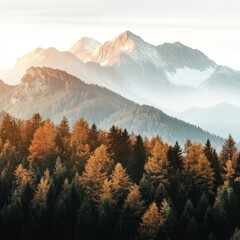 Obraz premium Mountain peaks above treetops, autumn tapestry