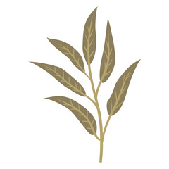 leaves illustration