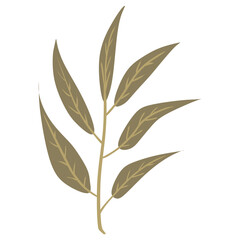 leaves illustration