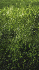 Close-up meadow grass texture with tall green blades and colorful wildflower accents
