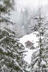 Winter atmosphere. Inside a thick snowfall. Sappada, Dolomites.