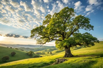 Fototapeta premium Vibrant Flat Vector Illustration of a Majestic Oak Tree Standing Tall in a Lush Natural Landscape