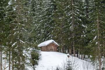 Winter atmosphere. Inside a thick snowfall. Sappada, Dolomites.