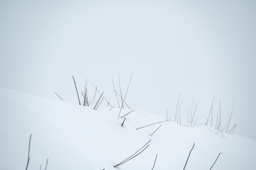 Winter atmosphere. Inside a thick snowfall. Sappada, Dolomites.