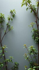 Obraz premium Green branches with leaves on a textured gray background, minimalist natural design