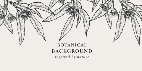 Hand drawn Australian native eucalyptus background © Maria