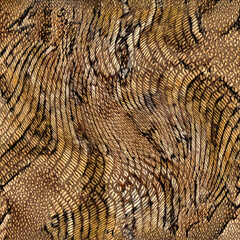 zebra leopard pattern