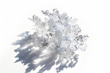 Solitary ice crystal formation illuminated by December light casting intricate shadows isolated on a white background