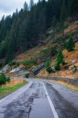 Scenic winding road through forested mountain landscape.