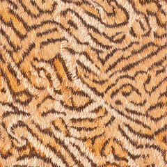 zebra leopard pattern