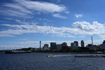 Naklejka premium 大さん橋から望む山下公園
