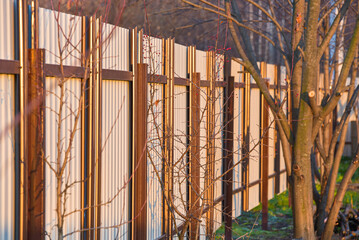 Beautiful metal fence during sunset.