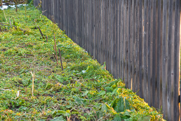 Wooden fence made of grey picket fence.