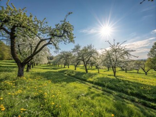 Fototapeta premium Breathtaking Vibrant Green Meadow Under Brilliant Sunlight in a Stunning Natural Landscape Scene