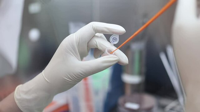 Healthcare Professional in Gloves Conducting Laboratory Testing with Sample Tube and Swab, Showcasing Precision and Care in Medical Science Research
