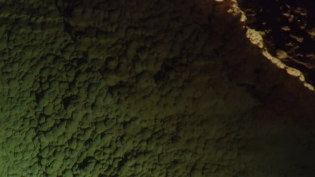 Detailed View of Textured Limestone Wall with Erosion Patterns in Carlsbad Caverns