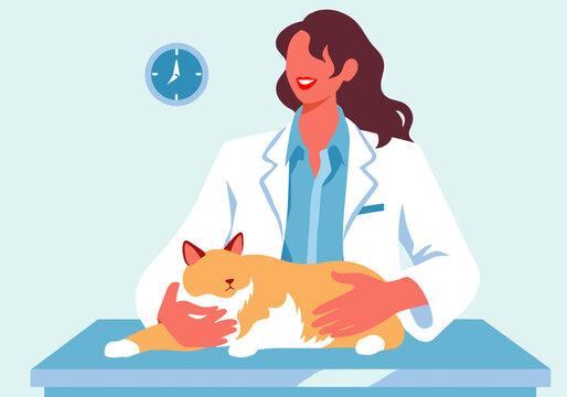 Veterinarian in white coat holding calm cat on table at clinic