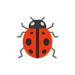 Ladybug
