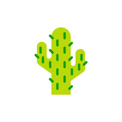 Fototapeta premium Cactus 