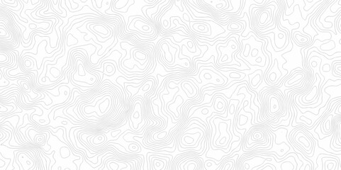 Contour abstract map relief land outline. Topographic map patterns. White wave paper curved reliefs abstract background. Background of the topography map. Abstract pattern with lines.