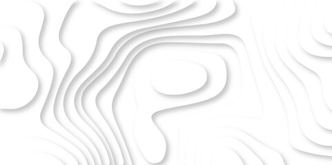 Abstract white paper cut background with lines. Background of the topographic map. White wave paper curved reliefs abstract background. Realistic papercut decoration textured with wavy layers.